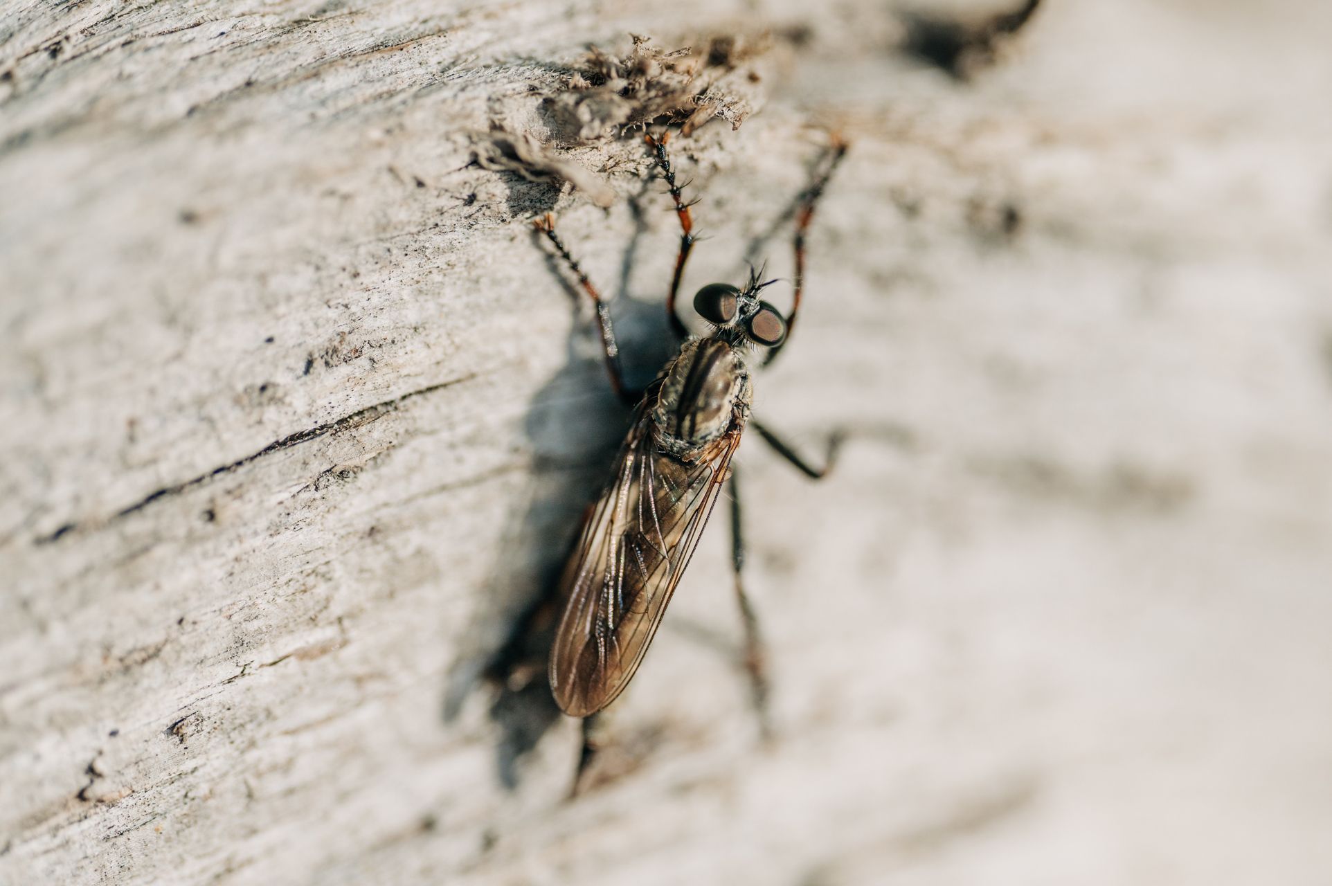 _DSC4815_Small.jpg