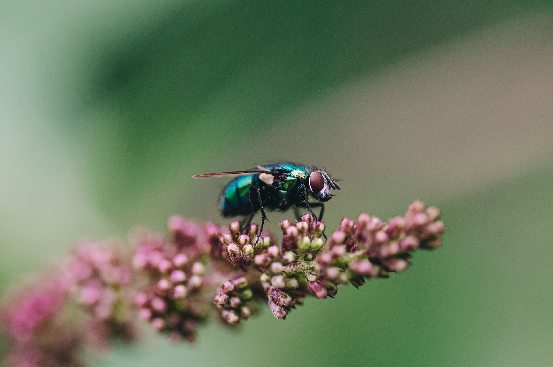 _DSC4882_Small.jpg