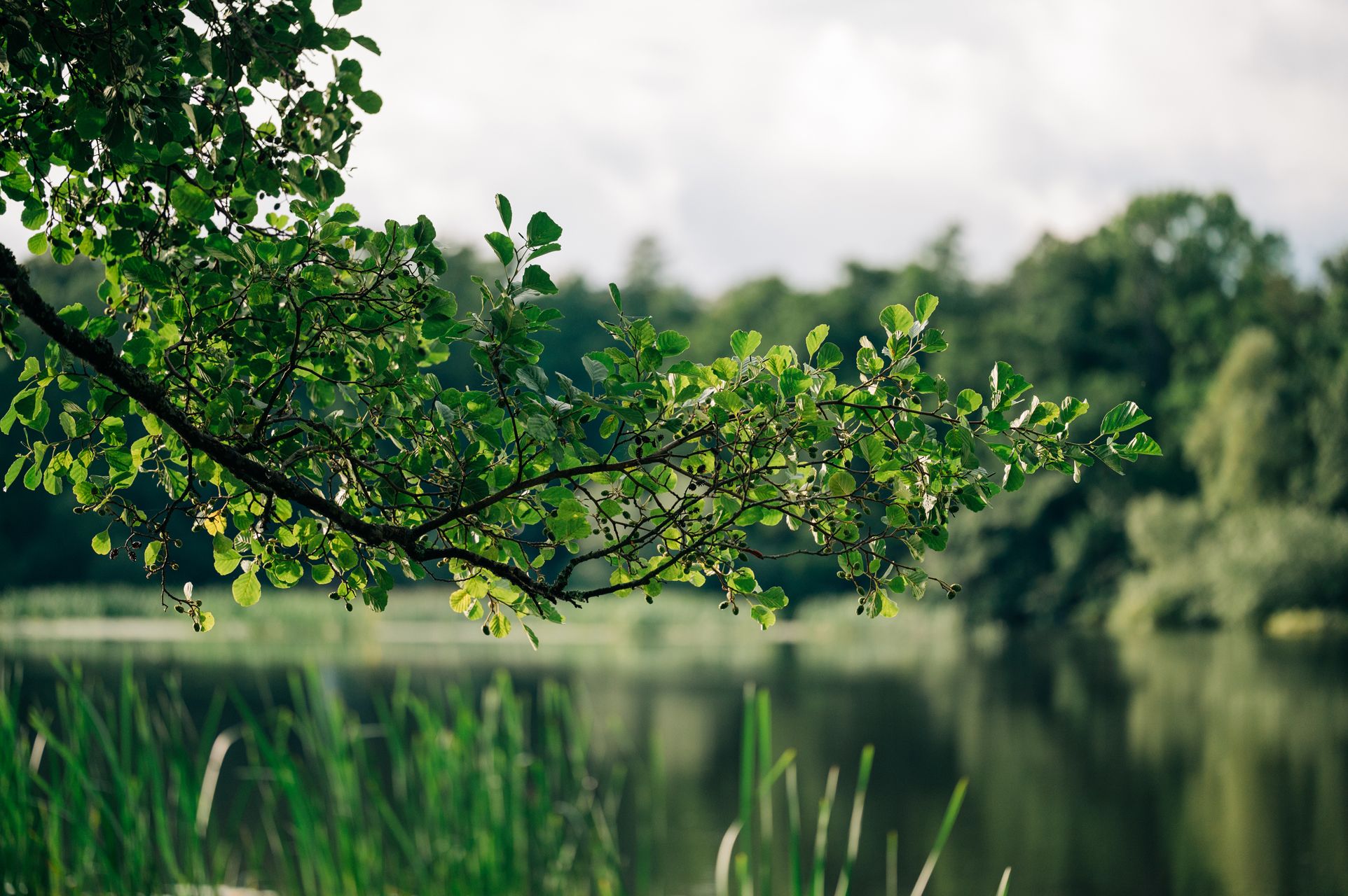 _DSC4941_Small.jpg