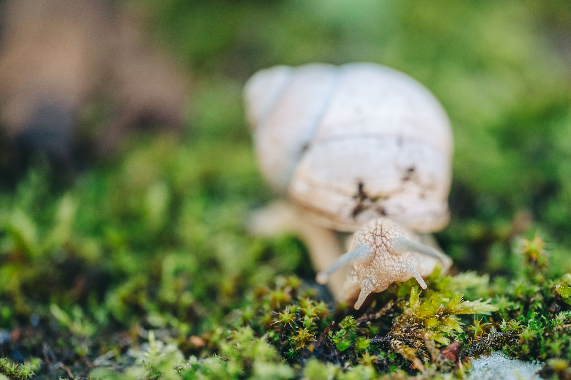 _DSC4964_Small.jpg