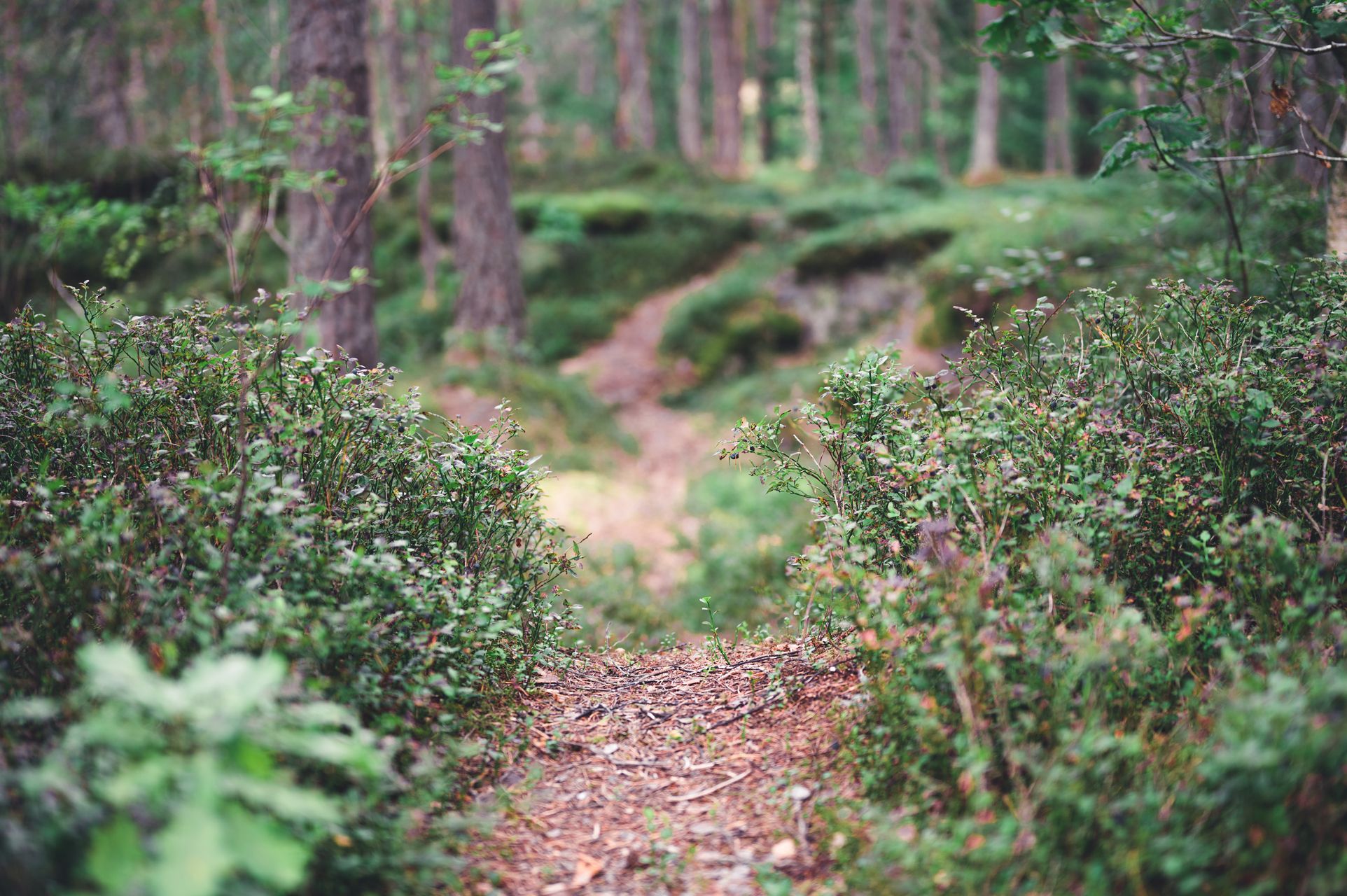 _DSC5198_Small.jpg