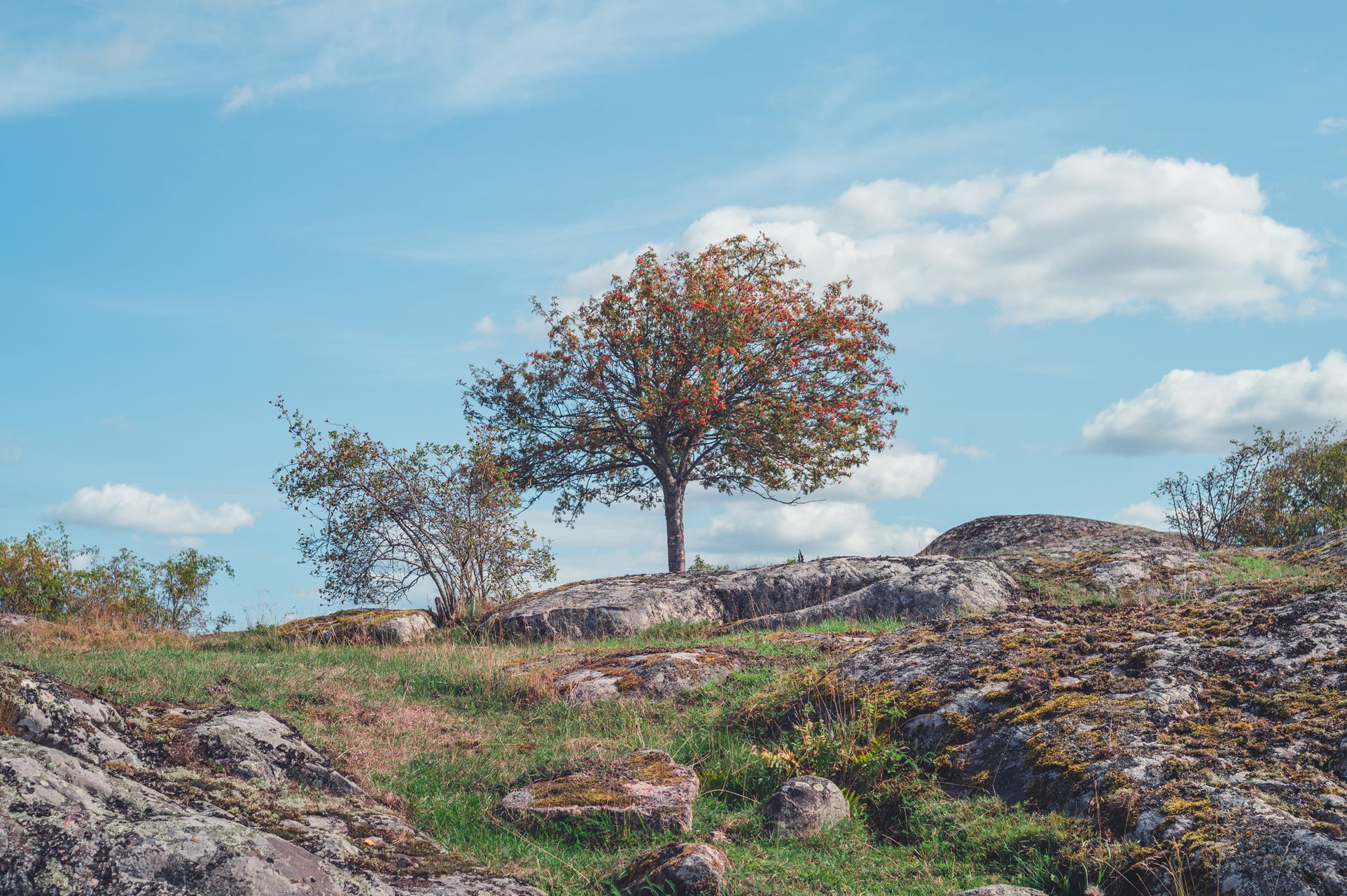 _DSC5663_Small.jpg