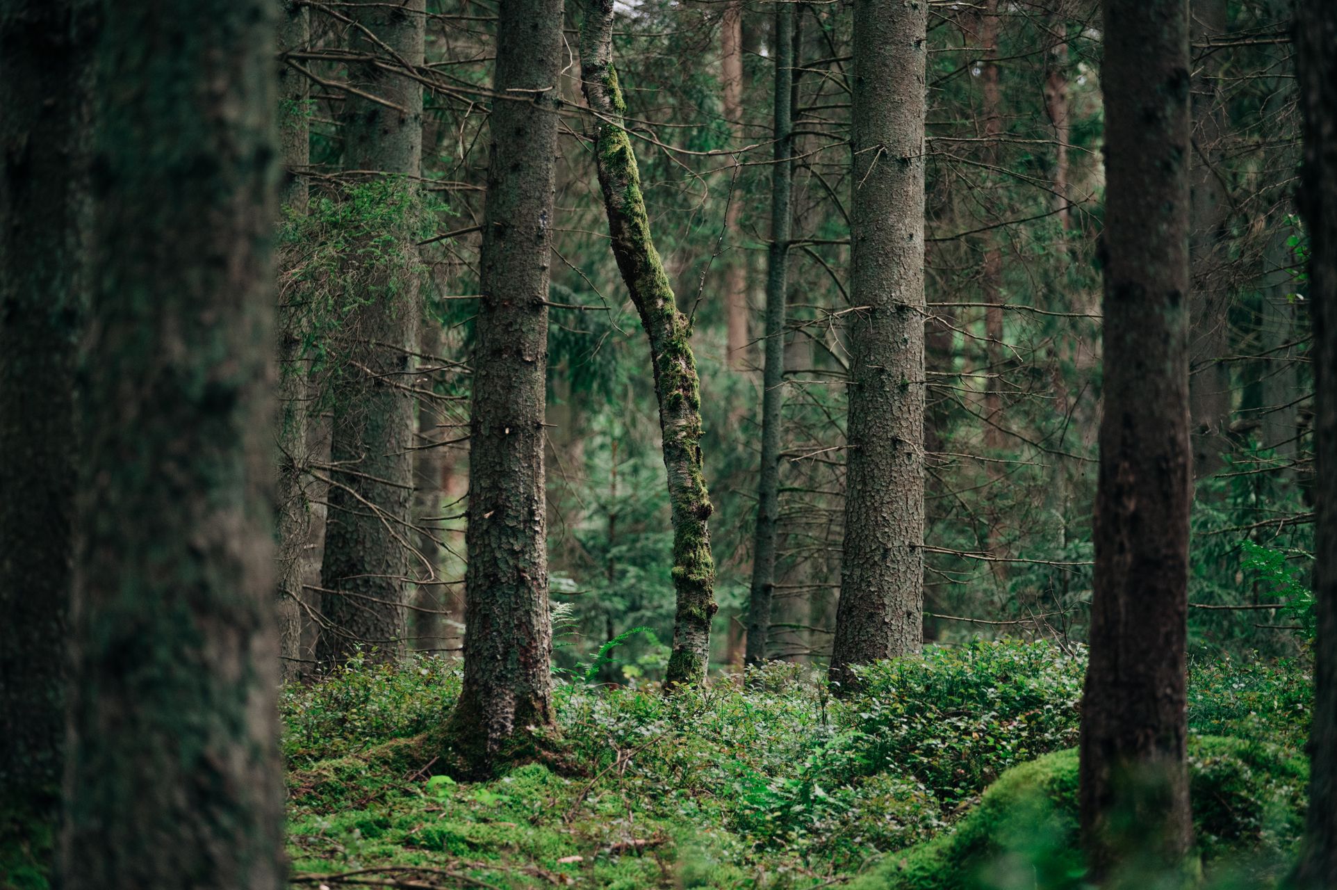 _DSC5817_Small.jpg