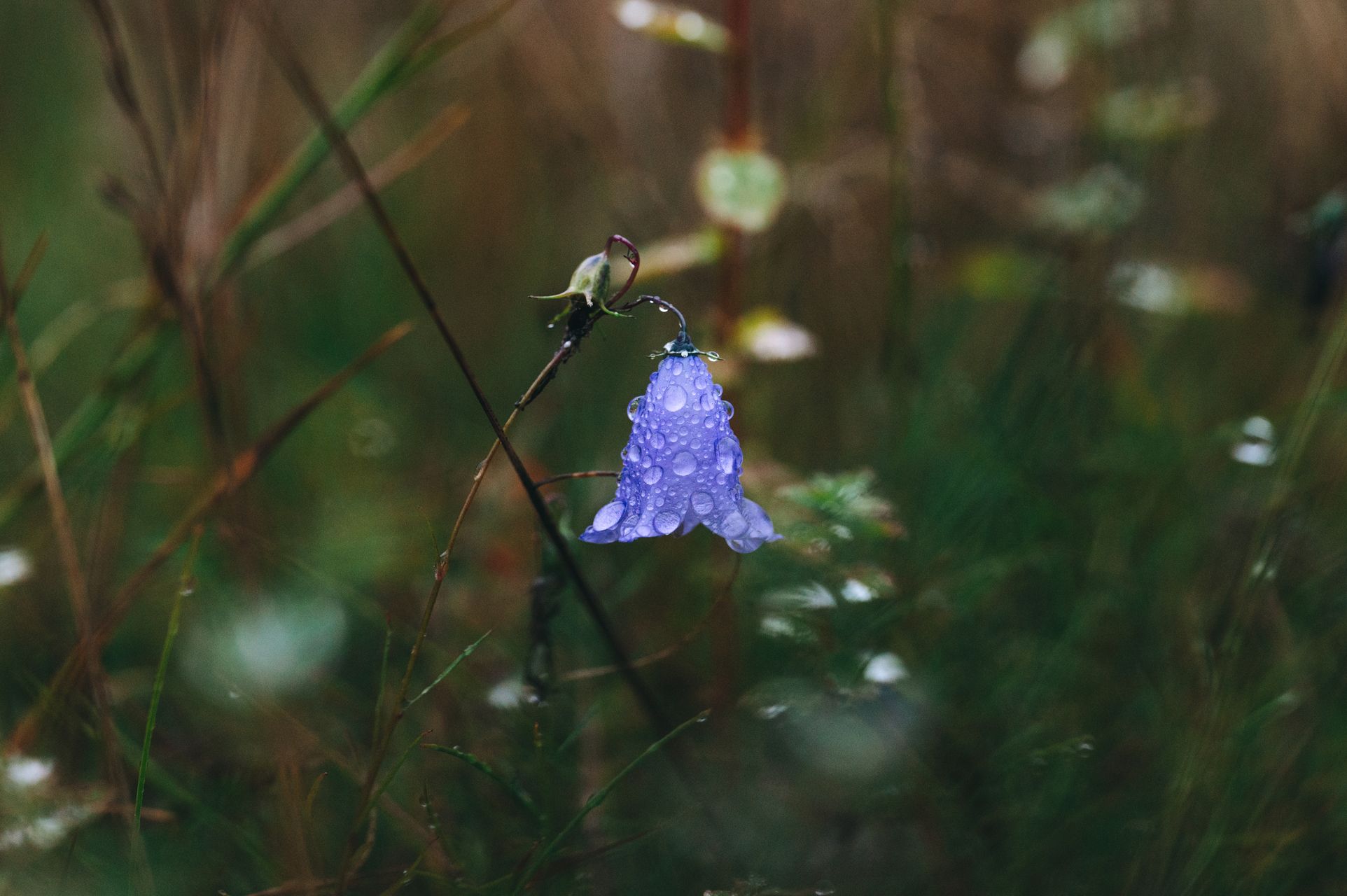 _DSC6098_Small.jpg