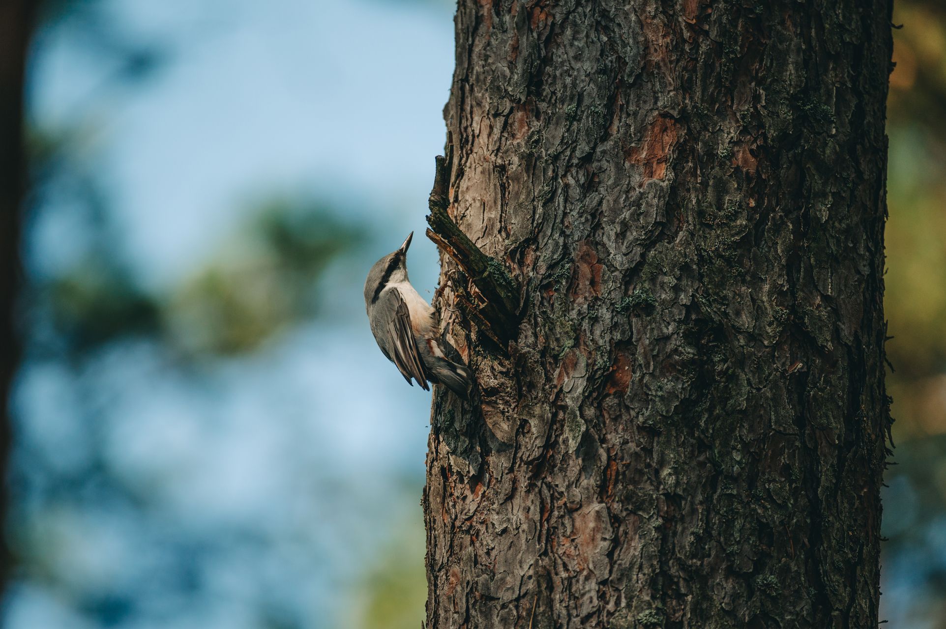 _DSC6184_Small.jpg