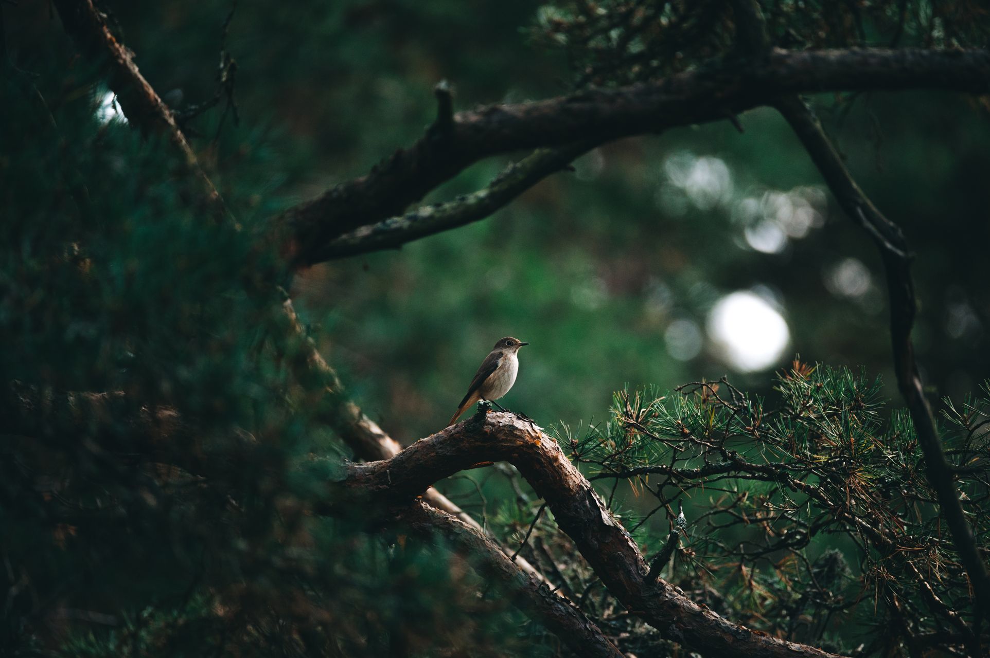 _DSC6261_Small.jpg