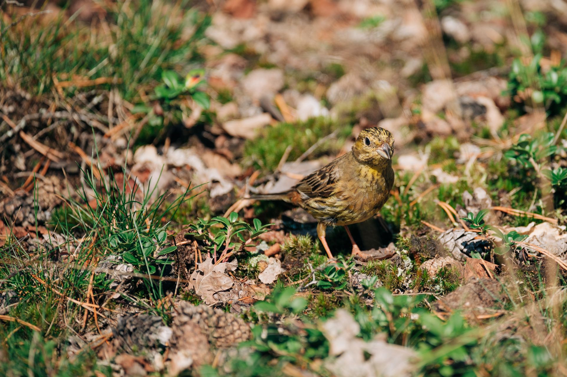 _DSC6314_Small.jpg