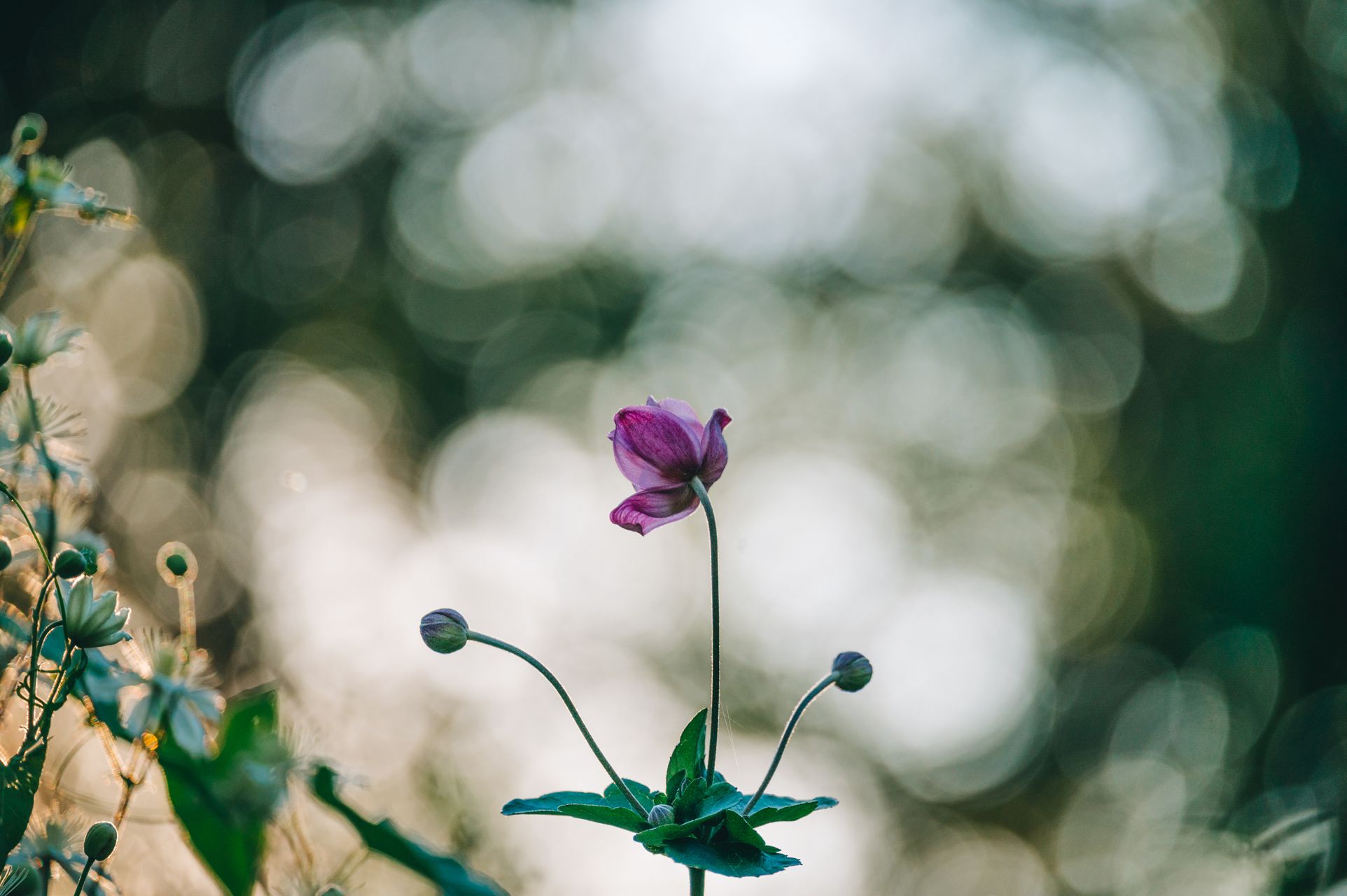 _DSC6502_Small.jpg