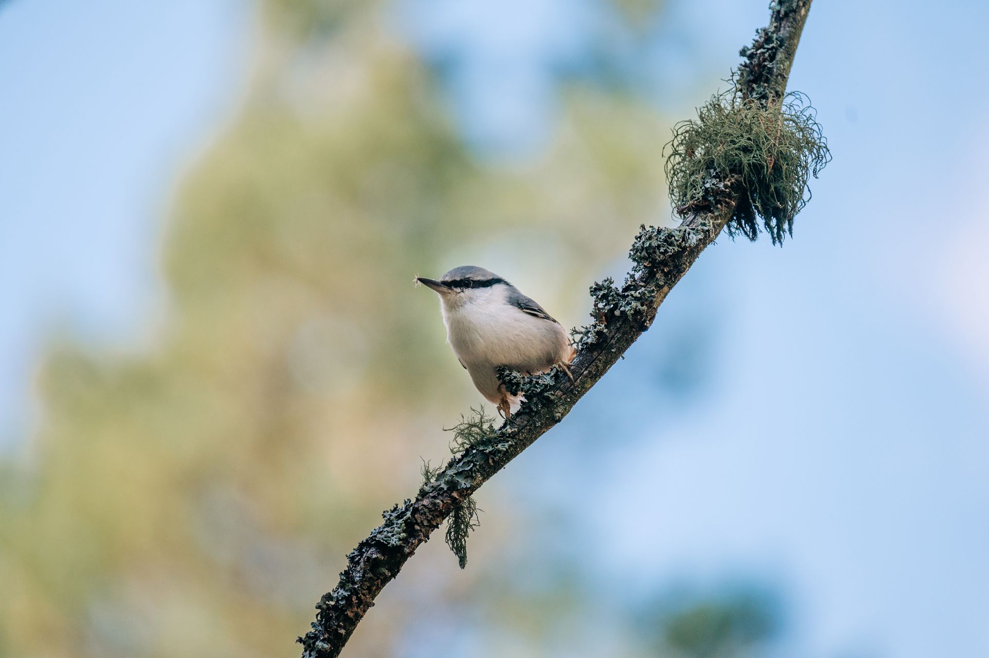 _DSC6642_Small.jpg