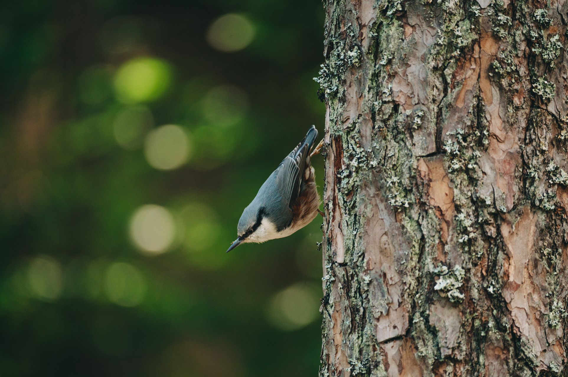 _DSC6651_Small.jpg