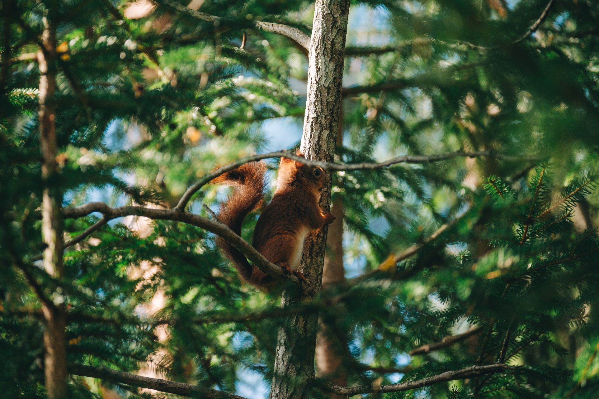 _DSC6702_Small.jpg