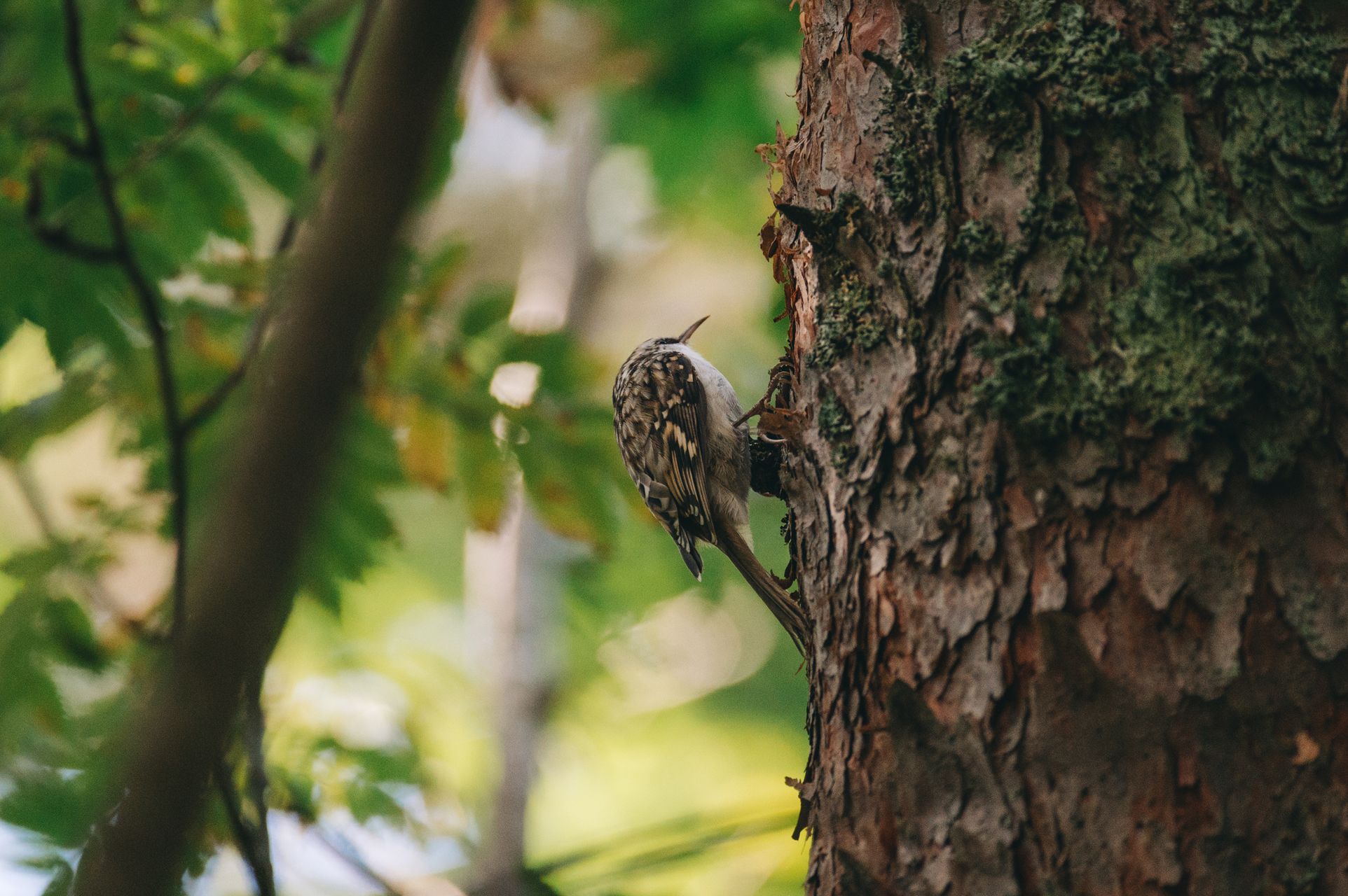 _DSC6719_Small.jpg