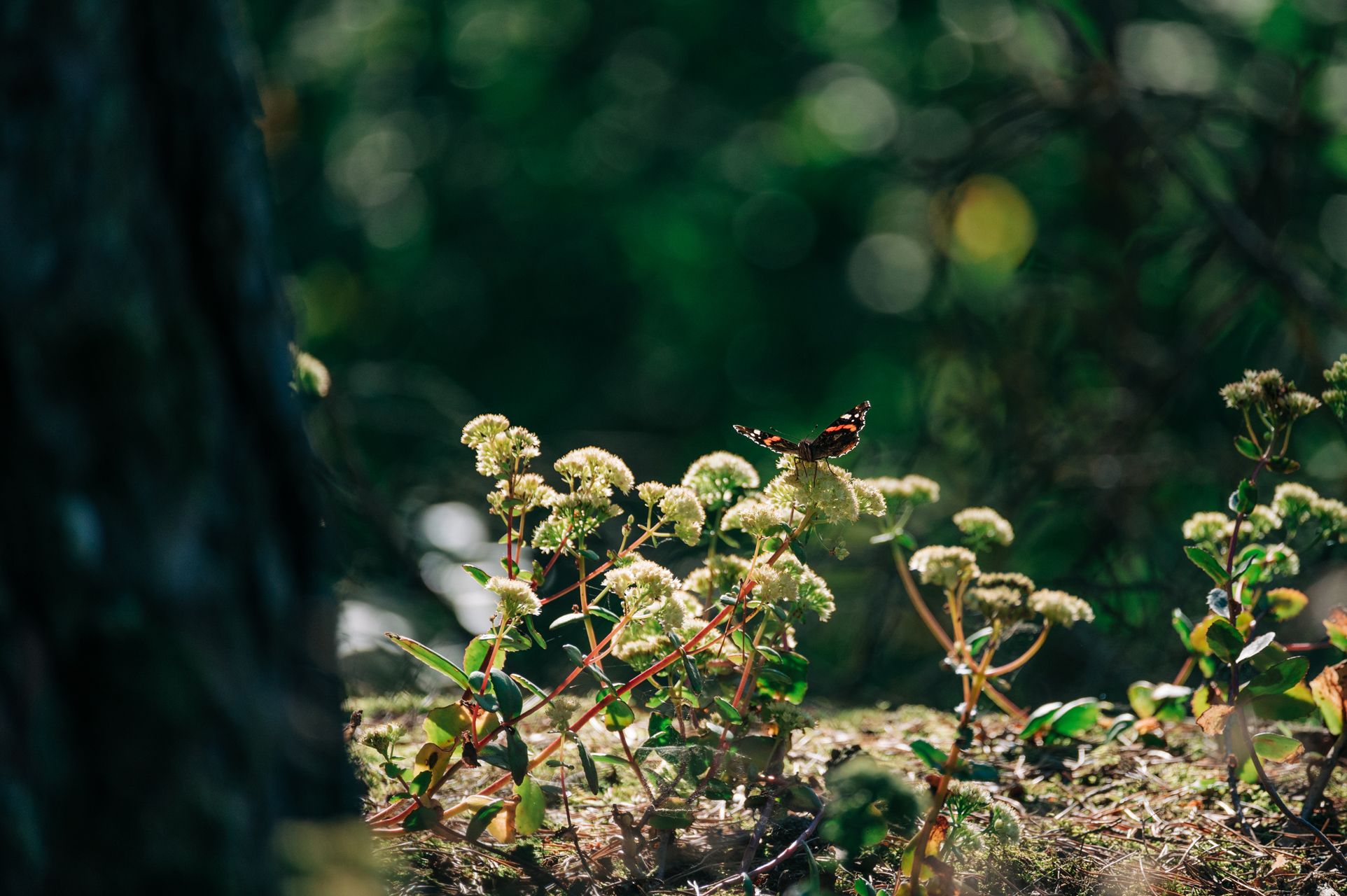_DSC6830_Small.jpg