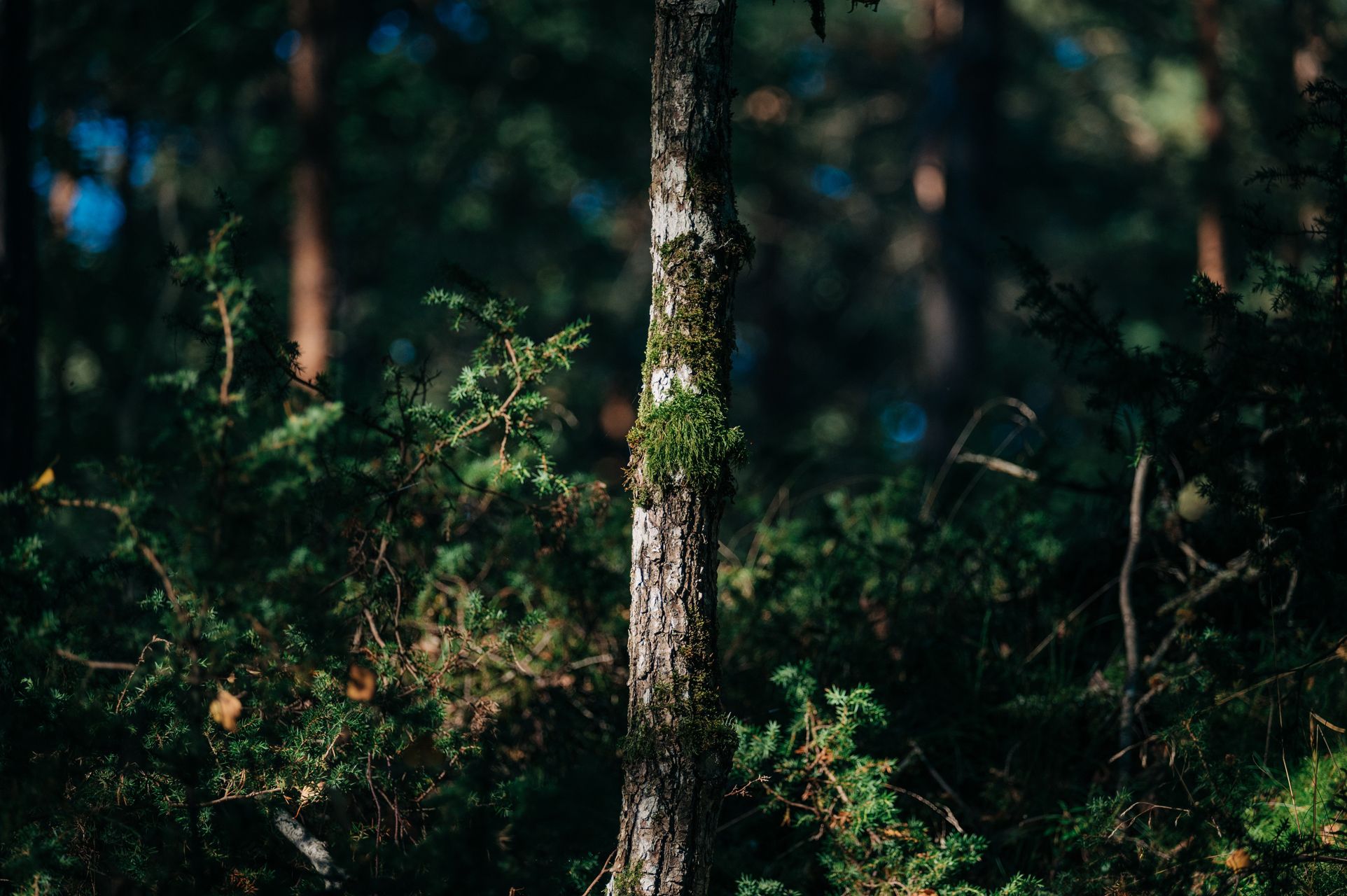 _DSC6856_Small.jpg