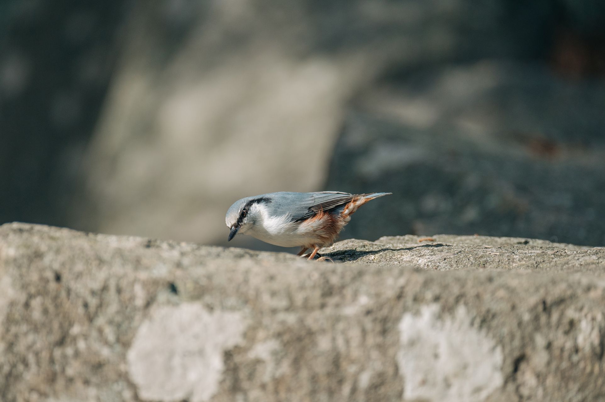 _DSC6874_Small.jpg