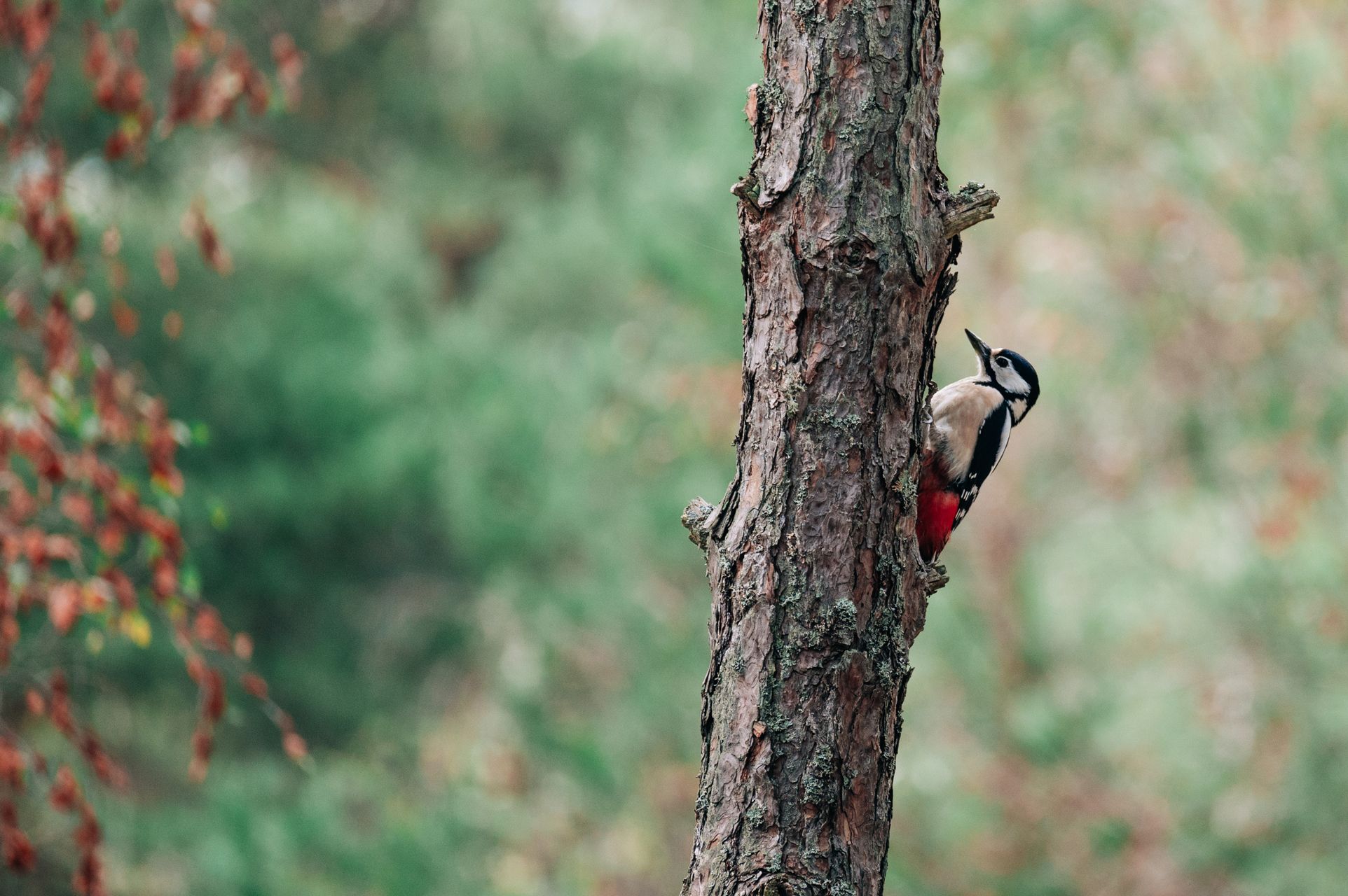 _DSC6898_Small.jpg