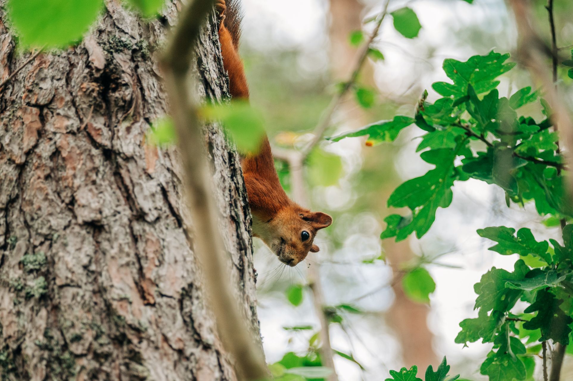 _DSC6944_Small.jpg