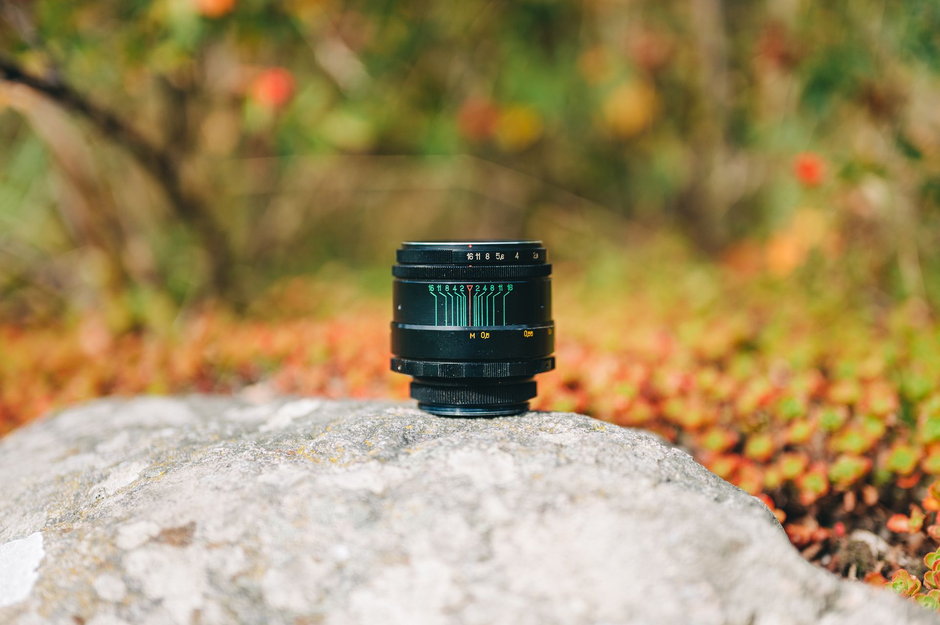 _DSC6953_Small.jpg