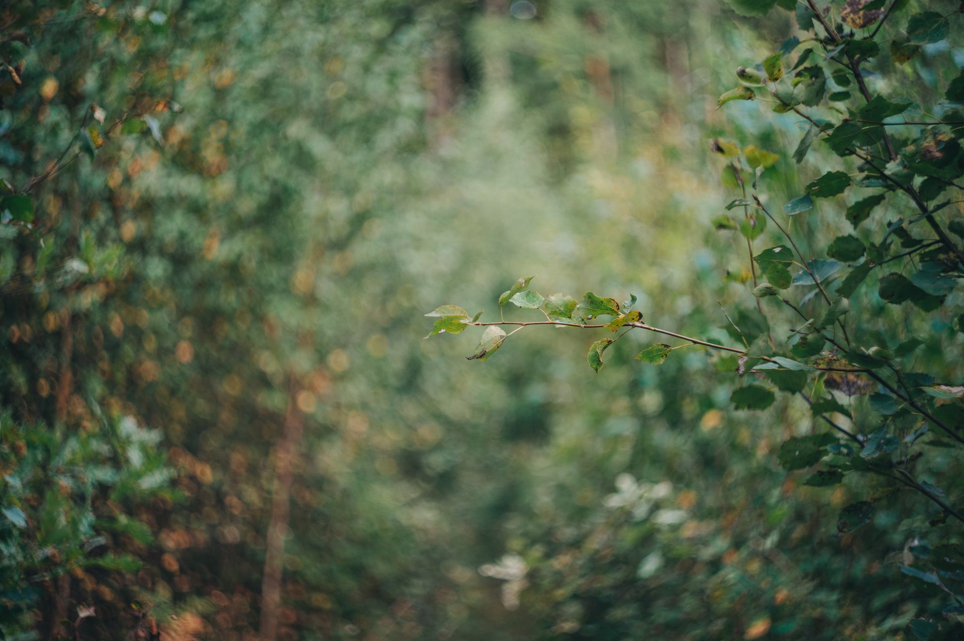 _DSC7040_Small.jpg