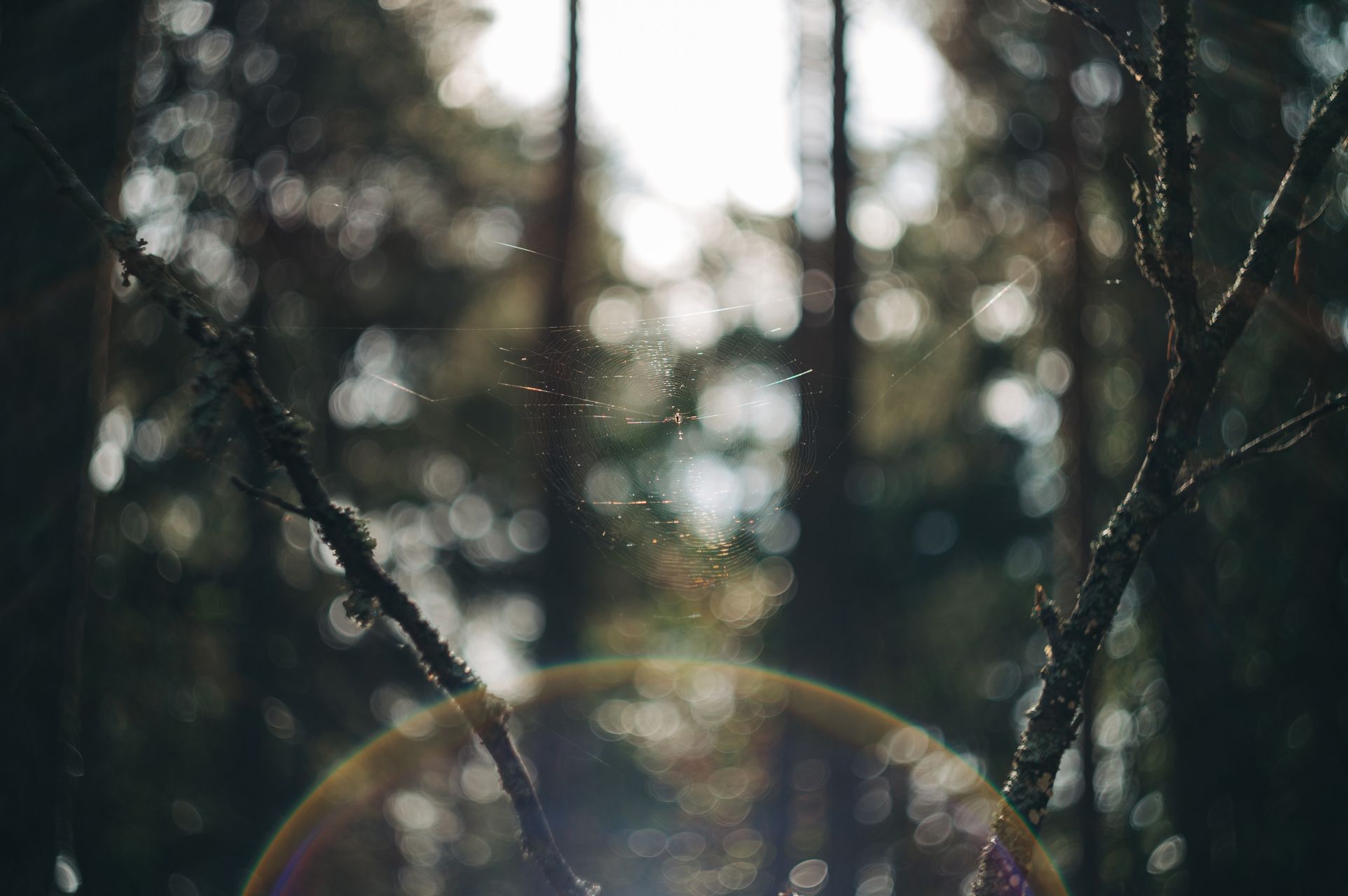 _DSC7068_Small.jpg
