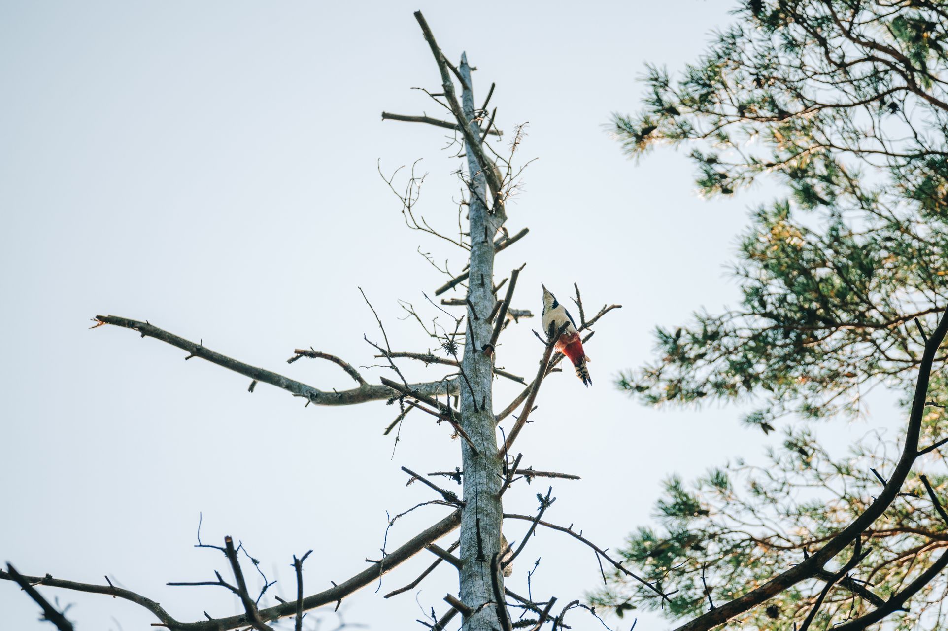 _DSC7314_Small.jpg