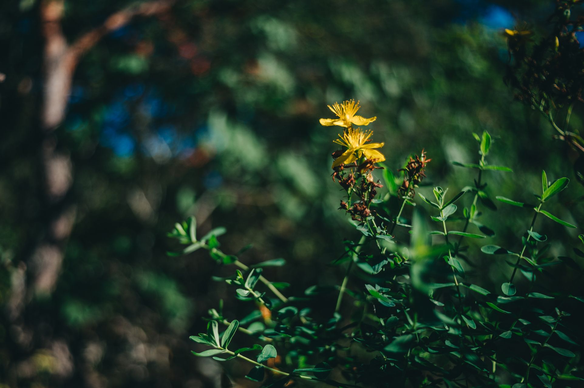 _DSC7505_Small.jpg