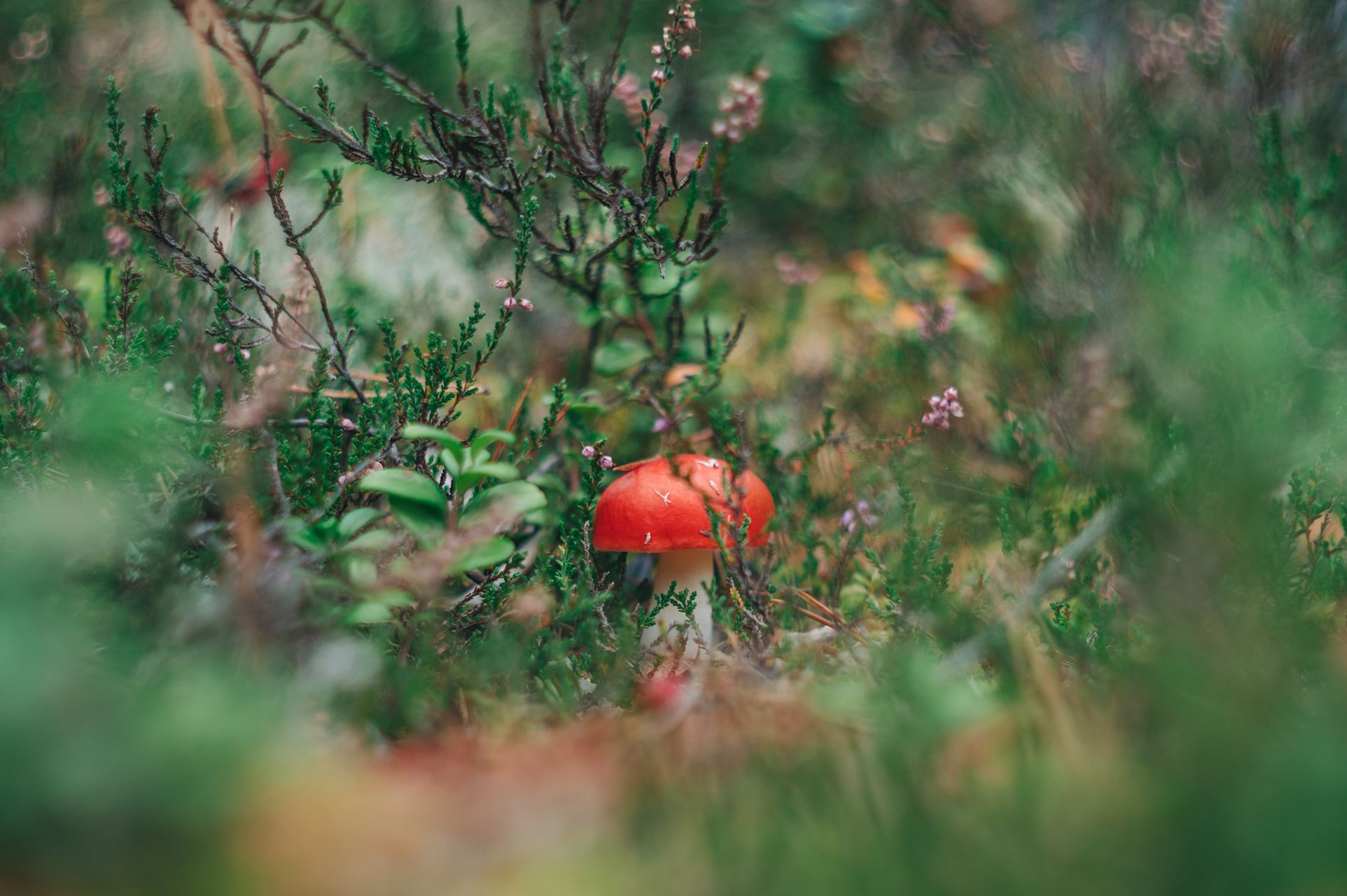 _DSC7738_Small.jpg