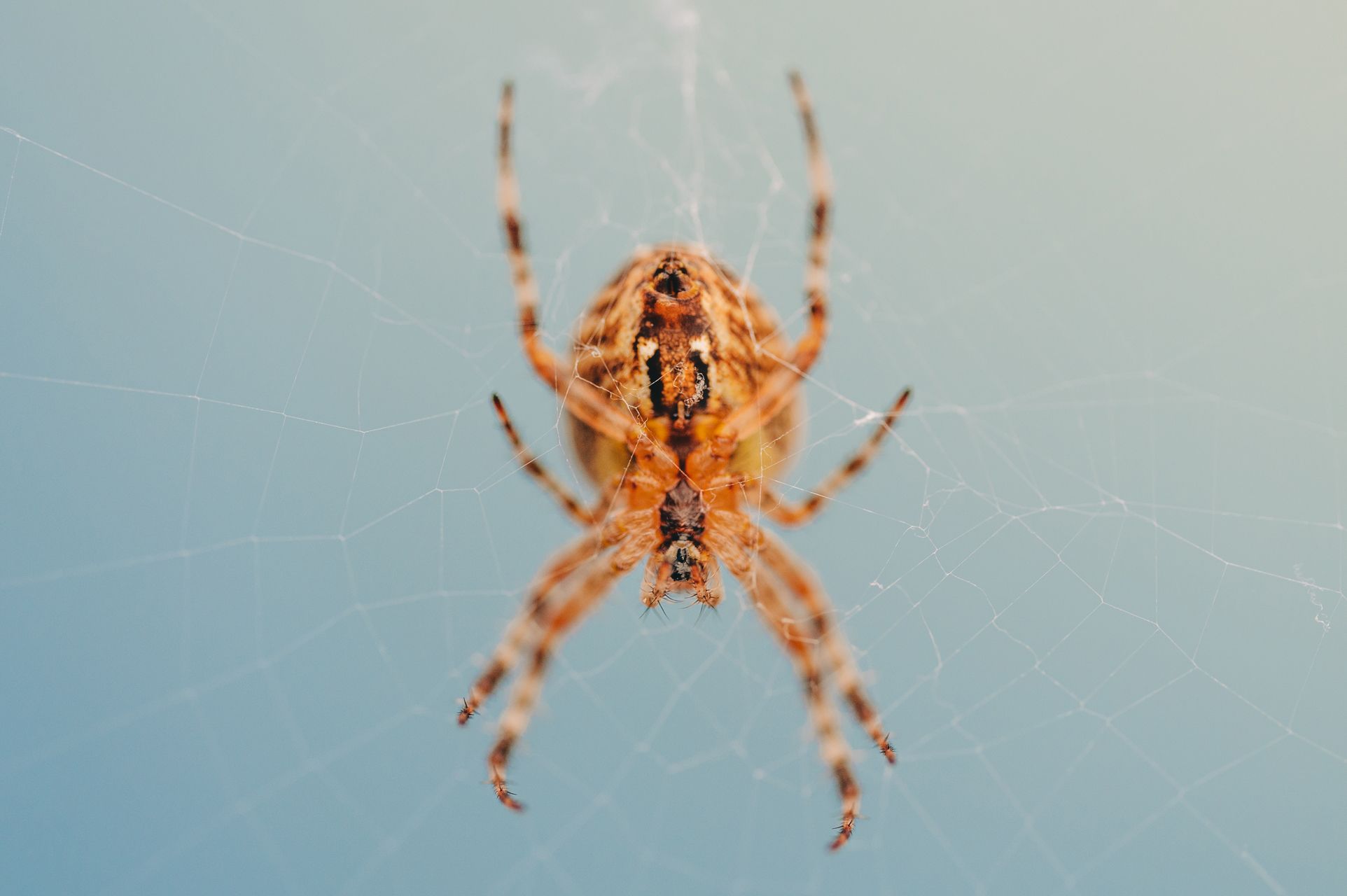 _DSC8156_Small.jpg