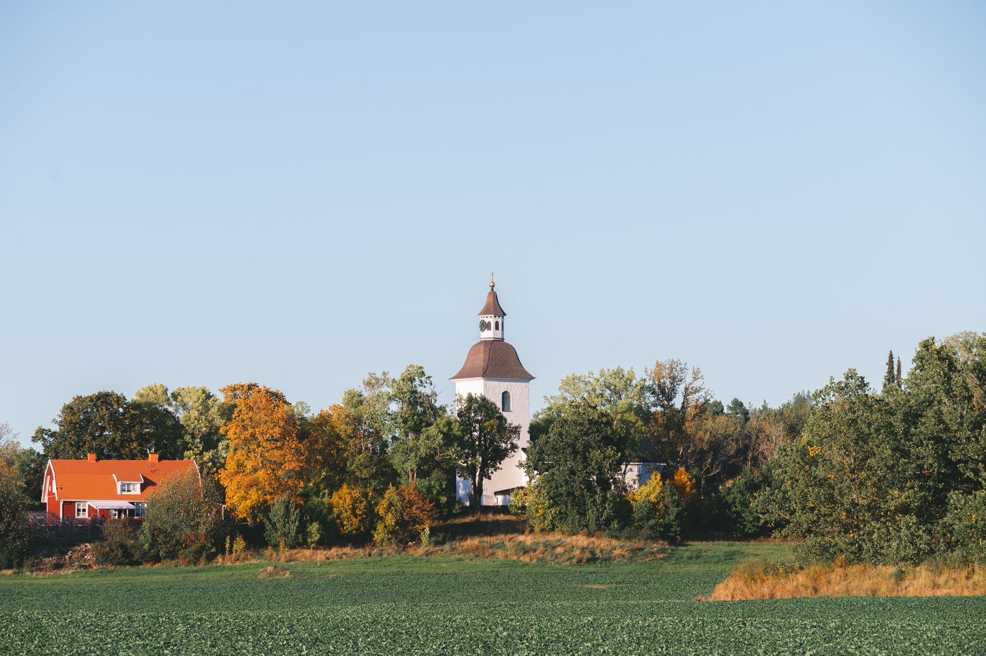 _DSC8188_Small.jpg
