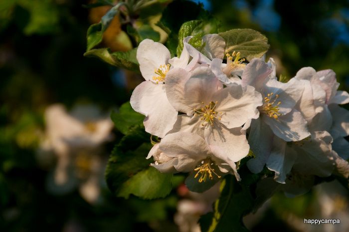 _DSC8662.jpg ht=465