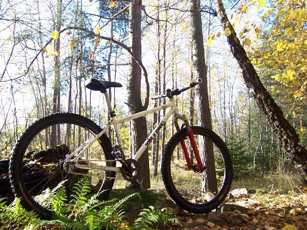 _hoj_100_9092.JPG ht=456