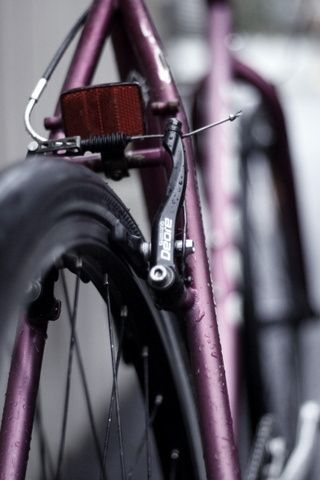 _MG_3203-1.JPG ht=480