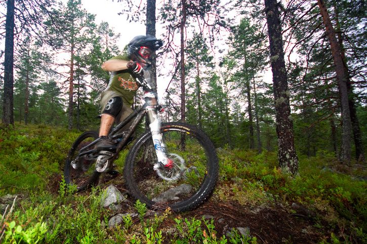 _MG_4550-Edit.jpg ht=483