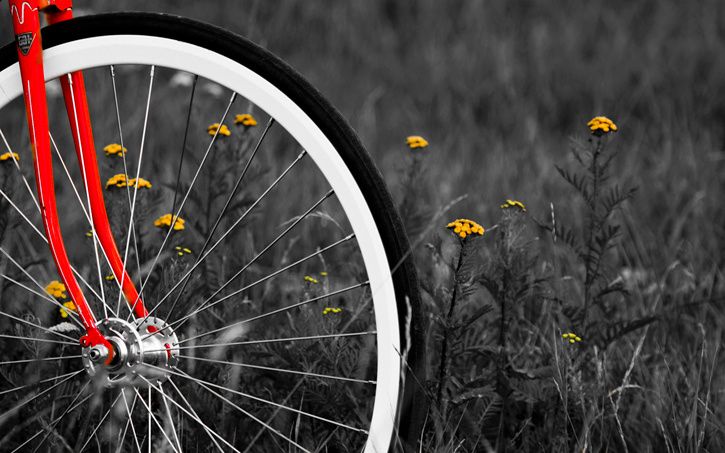 _MG_5898-happy.jpg ht=453