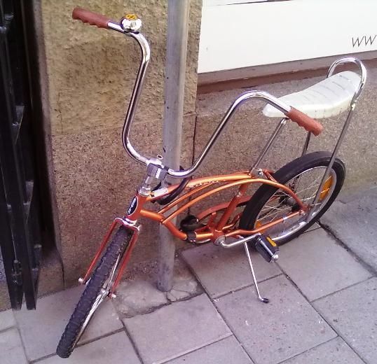 _schwinn_20100617446.jpg ht=520