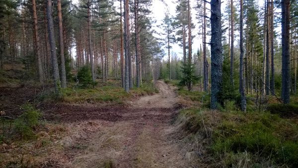 _WP_20131229_005.jpg