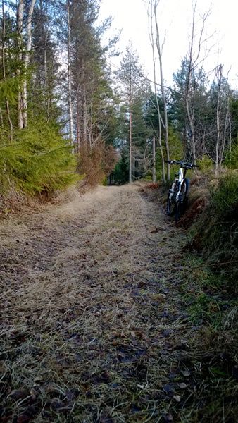 _WP_20131229_007.jpg