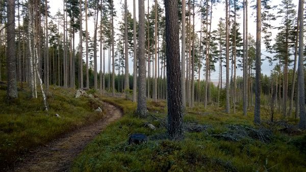 _WP_20131229_010.jpg