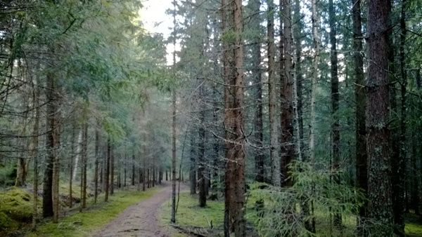 _WP_20131229_011.jpg