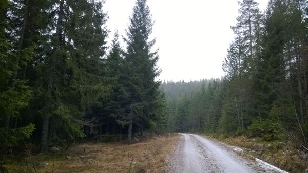 _WP_20140102_006.jpg