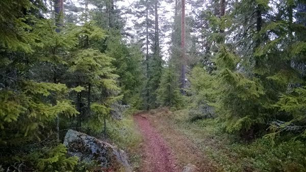 _WP_20140102_009.jpg