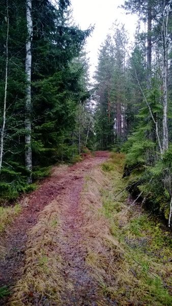 _WP_20140102_011.jpg