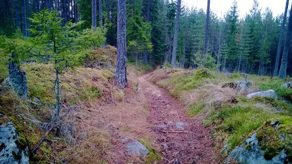 _WP_20140102_015.jpg
