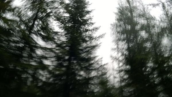 _WP_20140102_029.jpg