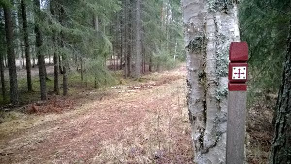 _WP_20140102_032.jpg