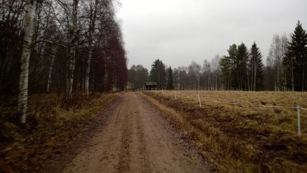 _WP_20140102_037.jpg