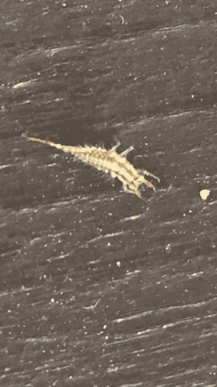 A0144CEF-C513-437D-A5E3-1D8FC8363BFC.png