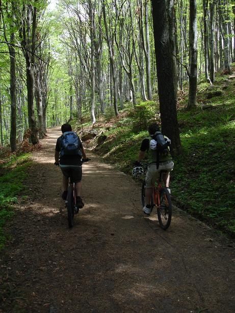 A02Bokskogar.JPG ht=615