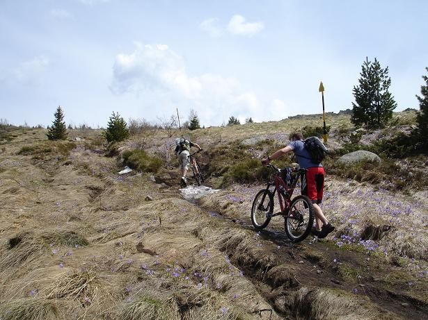 A06Pushing.JPG ht=461