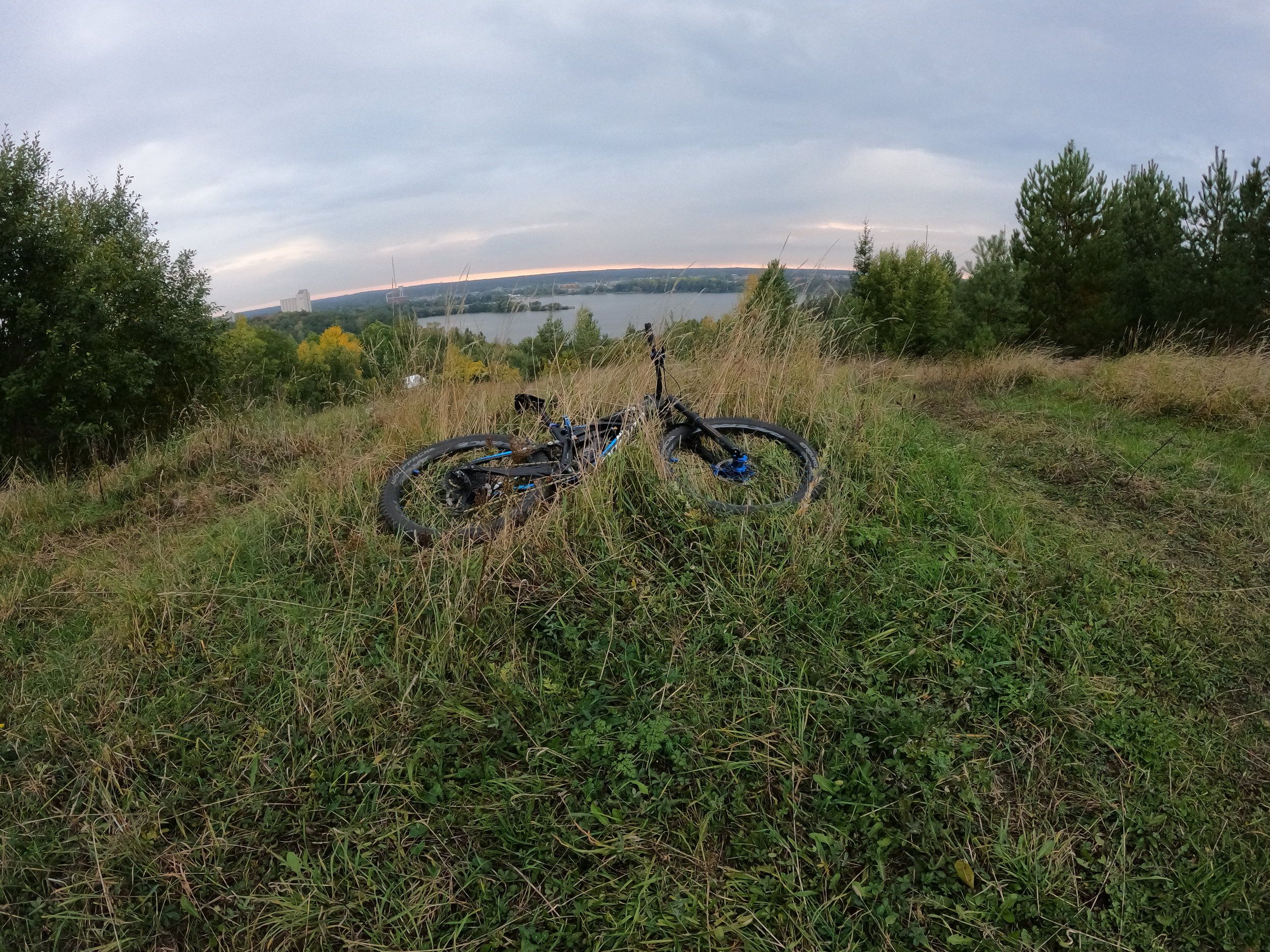 A2D65FFD-2370-4EBA-A56C-6459B1F806F4.jpeg